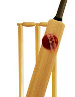 Cricket,Gandhi played cricket,batsman,bowler,youngest cricketer,cricket facts