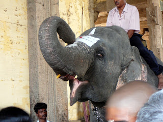 Madurai temple,Meenakshi Amman temple,Meenakshi Amman temple Towers,Meenakshi Amman elephant 