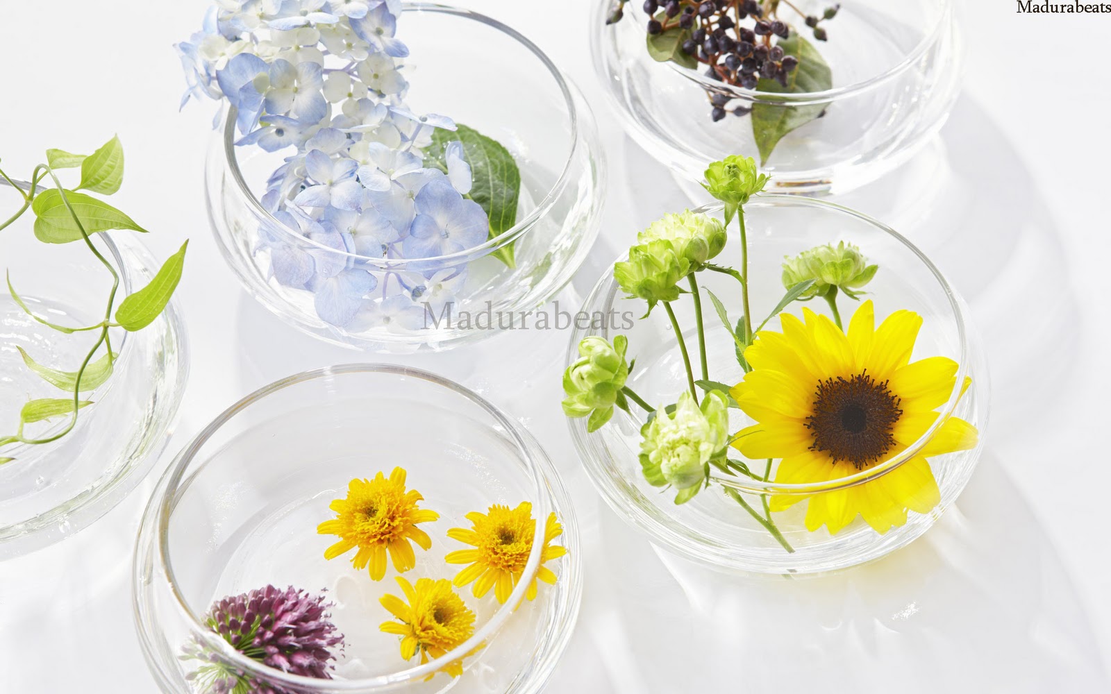 Flower images, Wide screen wallpapers,Gaillardia_wildflower_decorating_with_flowers